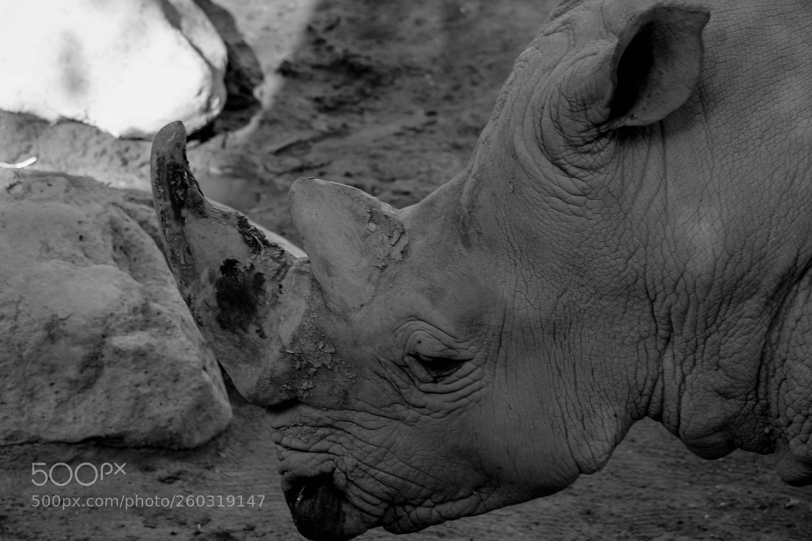 Canon EOS 60D sample photo. Untitled photography
