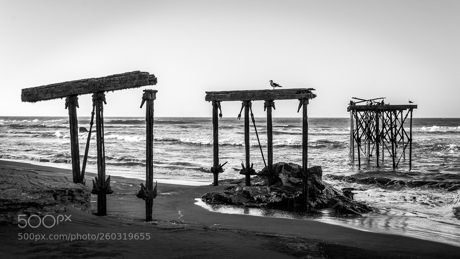Nikon D3100 sample photo. Aged pier photography