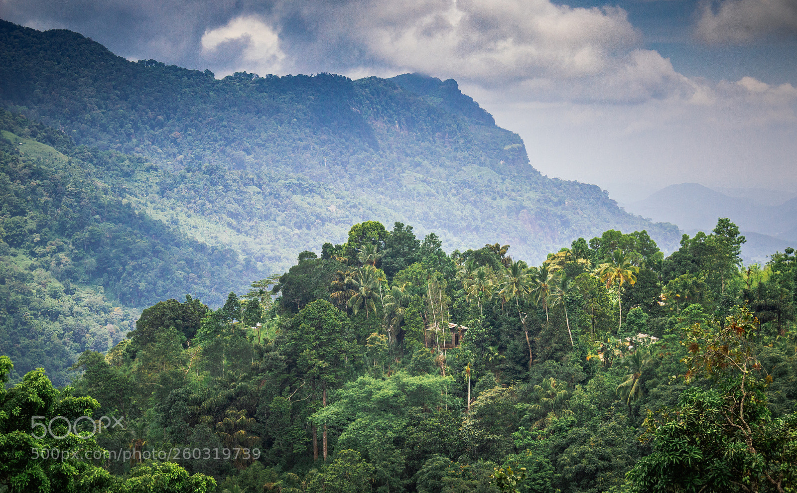 Canon EOS 600D (Rebel EOS T3i / EOS Kiss X5) sample photo. Jungle dwelling, wee oya photography