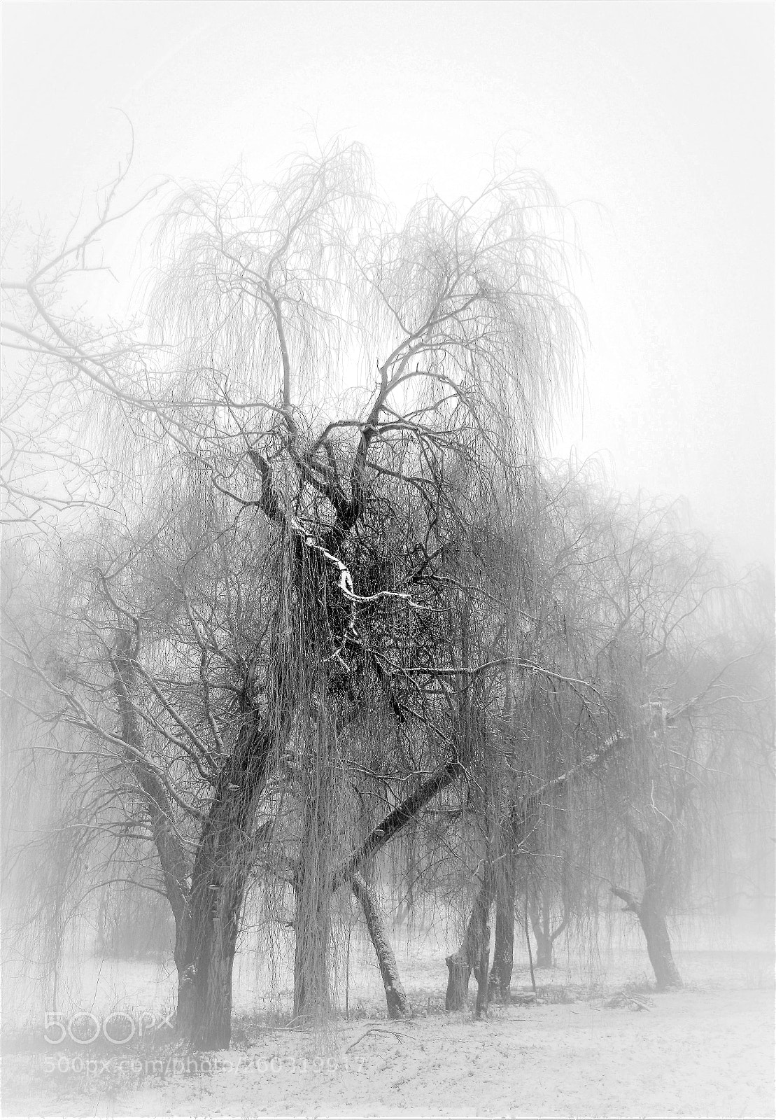 Nikon D3200 sample photo. Polish winter i photography