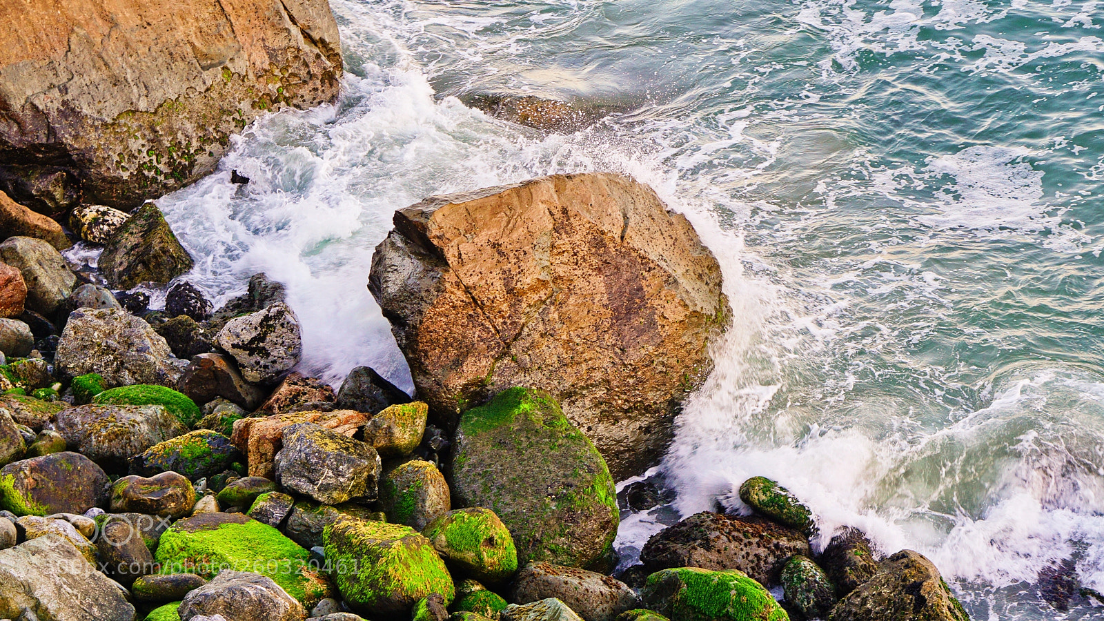 Sony a6000 sample photo. Rocky moss photography