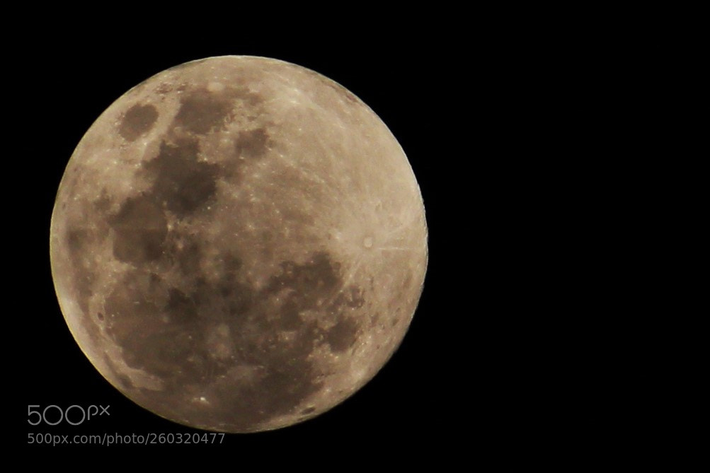 Canon EOS 700D (EOS Rebel T5i / EOS Kiss X7i) sample photo. Full moon photography