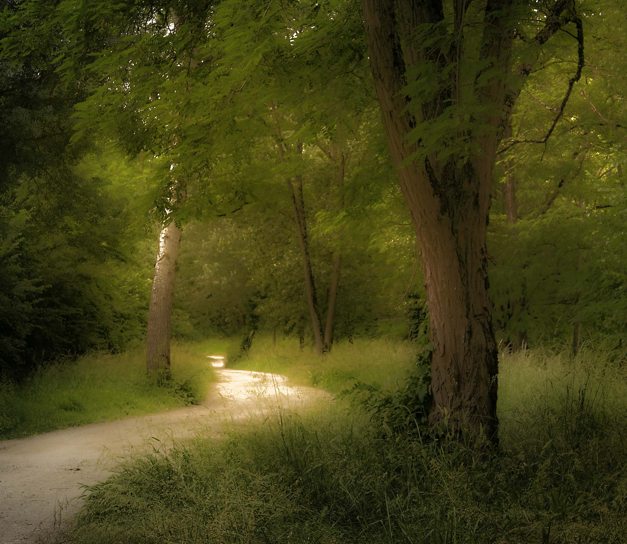 Leica D-Lux (Typ 109) sample photo. Golden hour photography