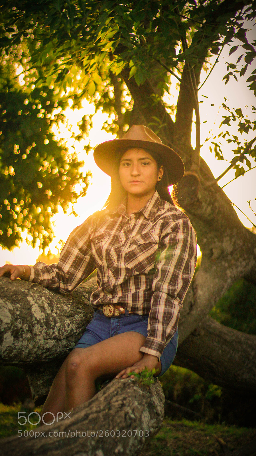 Canon EOS 60D sample photo. Untitled photography
