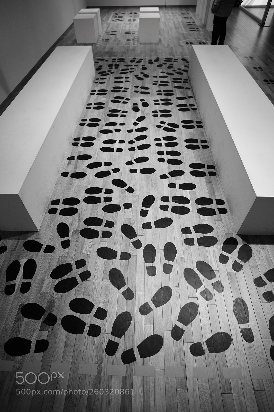 Nikon D850 sample photo. Footprints photography