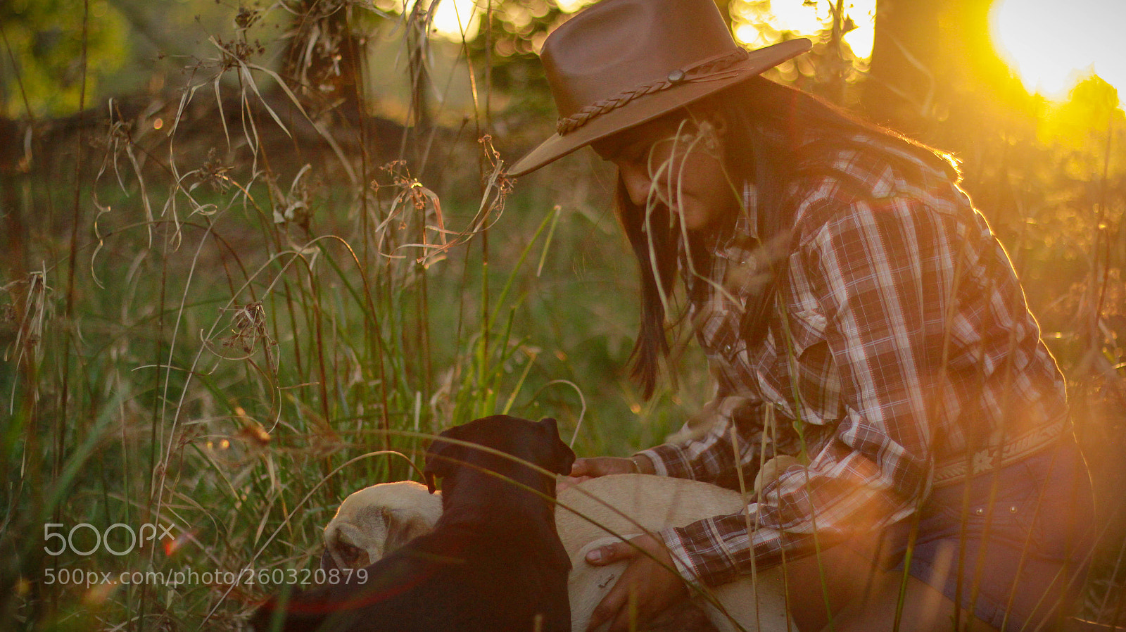 Canon EOS 60D sample photo. Untitled photography