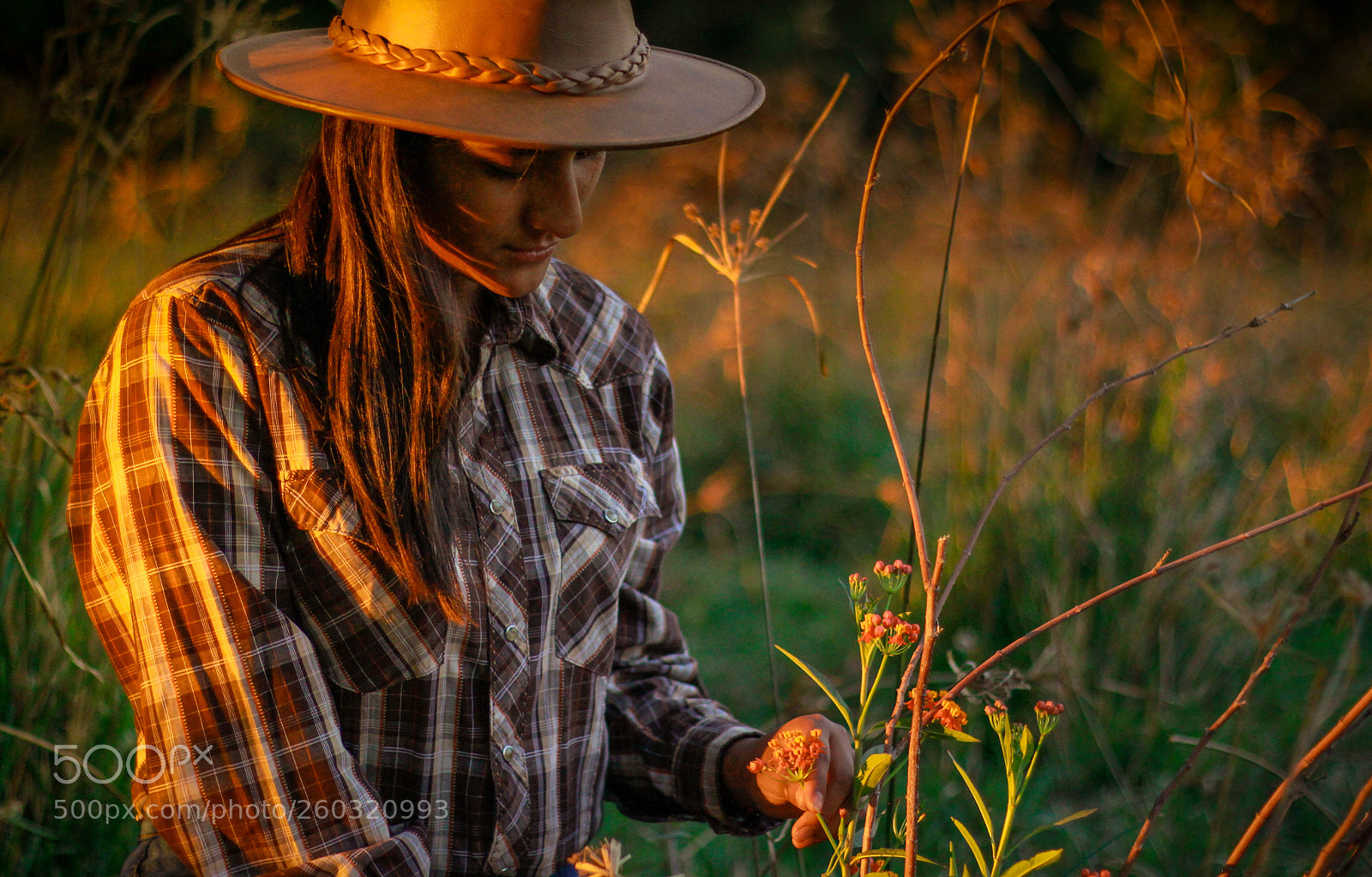 Canon EOS 60D sample photo. Untitled photography