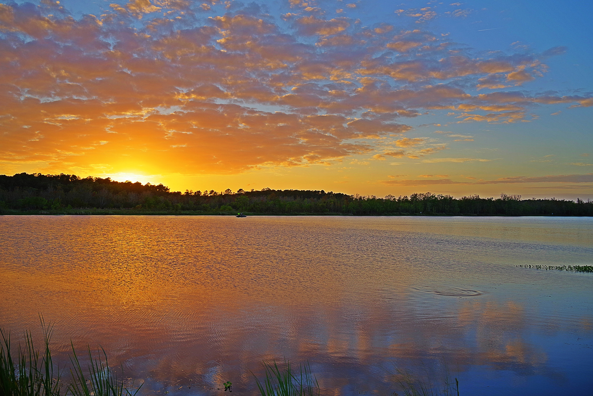 HD PENTAX-D FA 28-105mm F3.5-5.6 ED DC WR sample photo. Colorful ending to a day photography