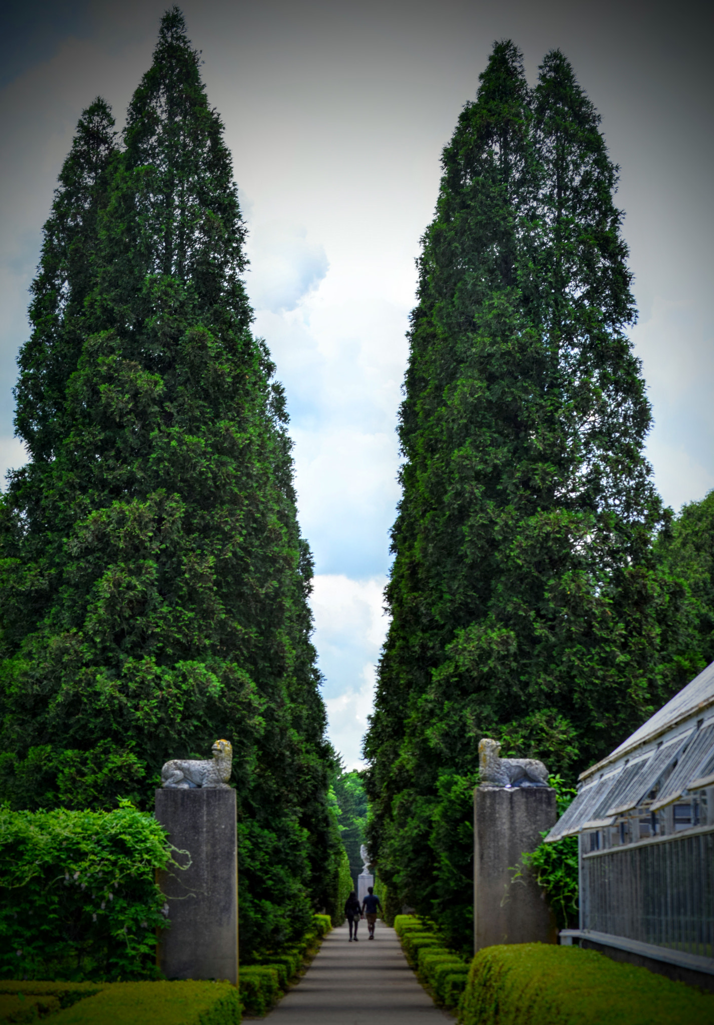 Nikon D3300 sample photo. Summer stroll photography