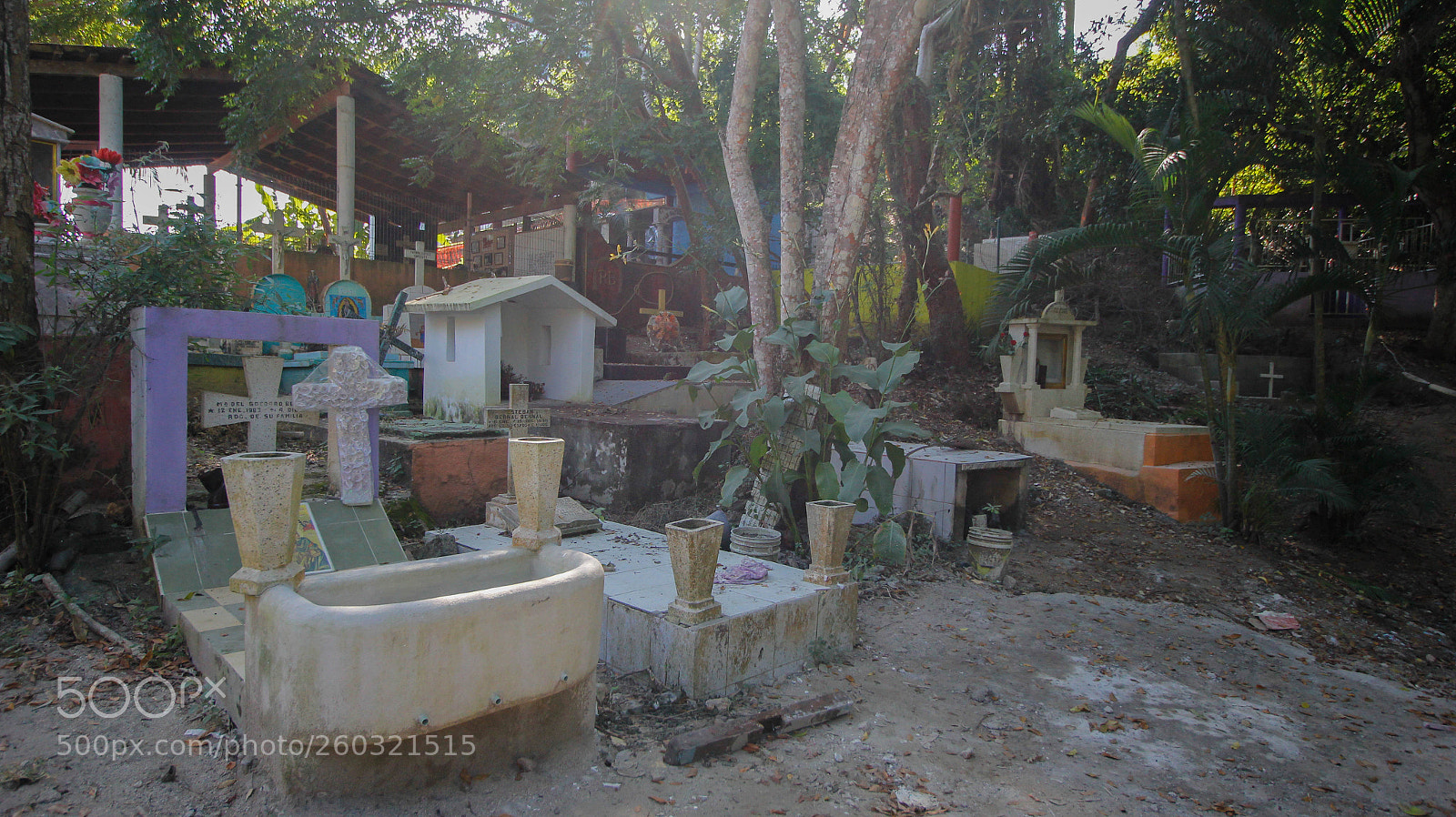 Canon EOS 60D sample photo. Untitled photography