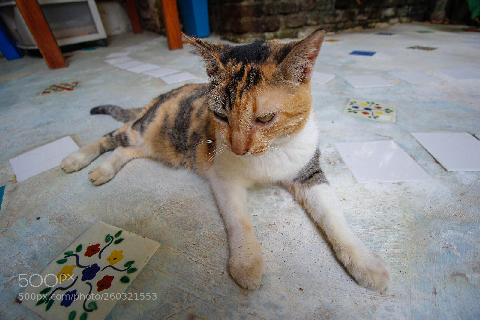 Canon EOS 60D sample photo. Untitled photography