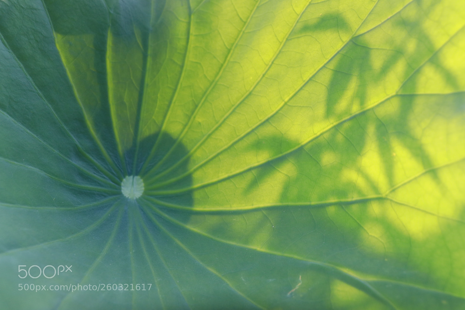 Canon EOS 80D sample photo. Untitled photography