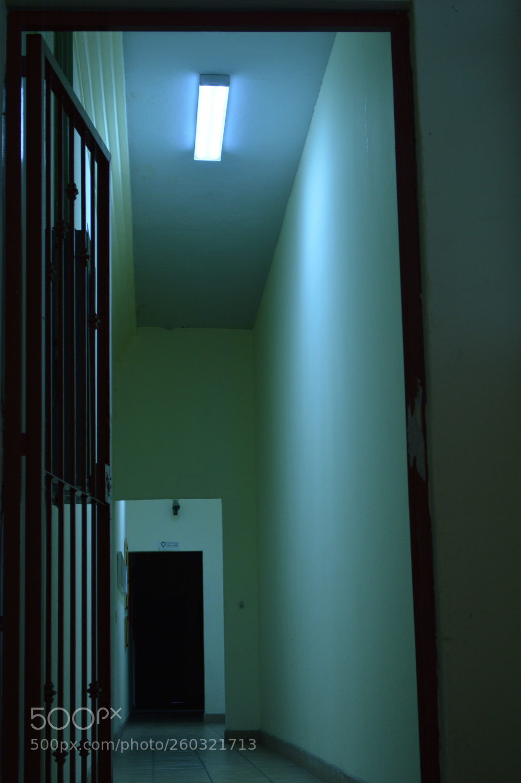 Nikon D3200 sample photo. Miedo? photography