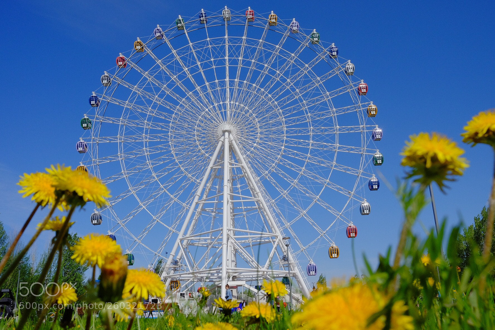 Fujifilm X-T10 sample photo. Untitled photography