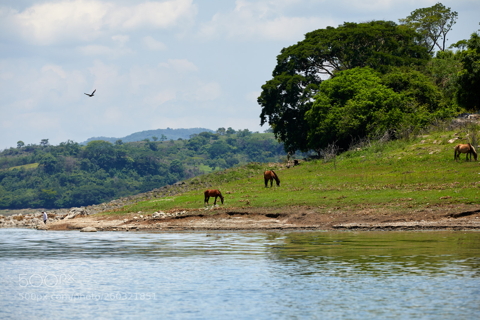 Canon EOS 5D Mark IV sample photo. Laguna de suchitlán photography