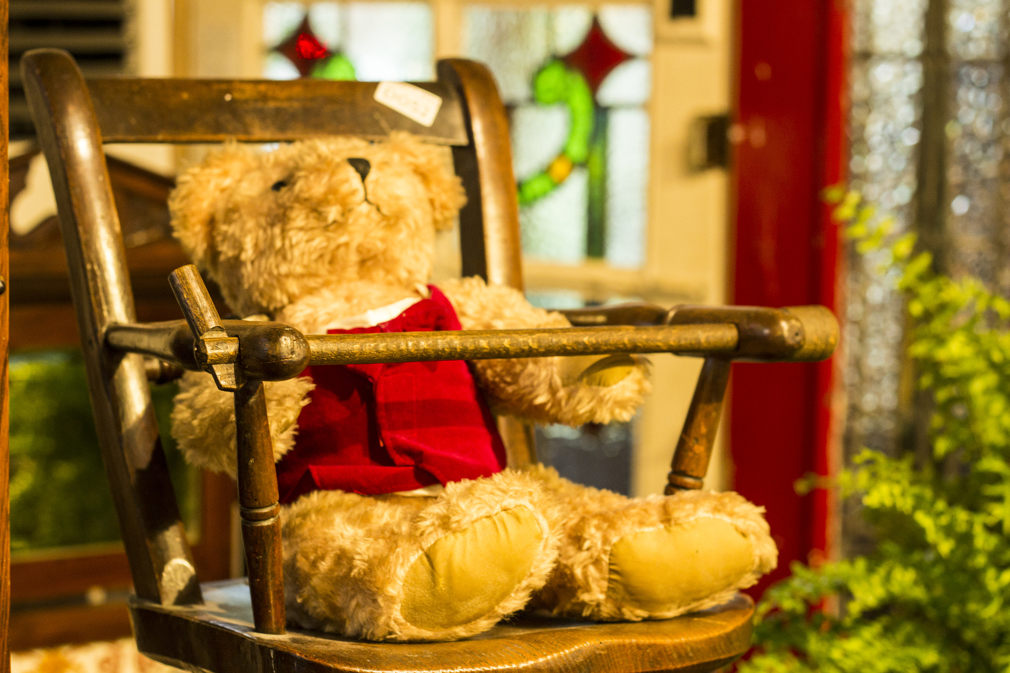 Canon EOS 600D (Rebel EOS T3i / EOS Kiss X5) sample photo. Bear chair photography