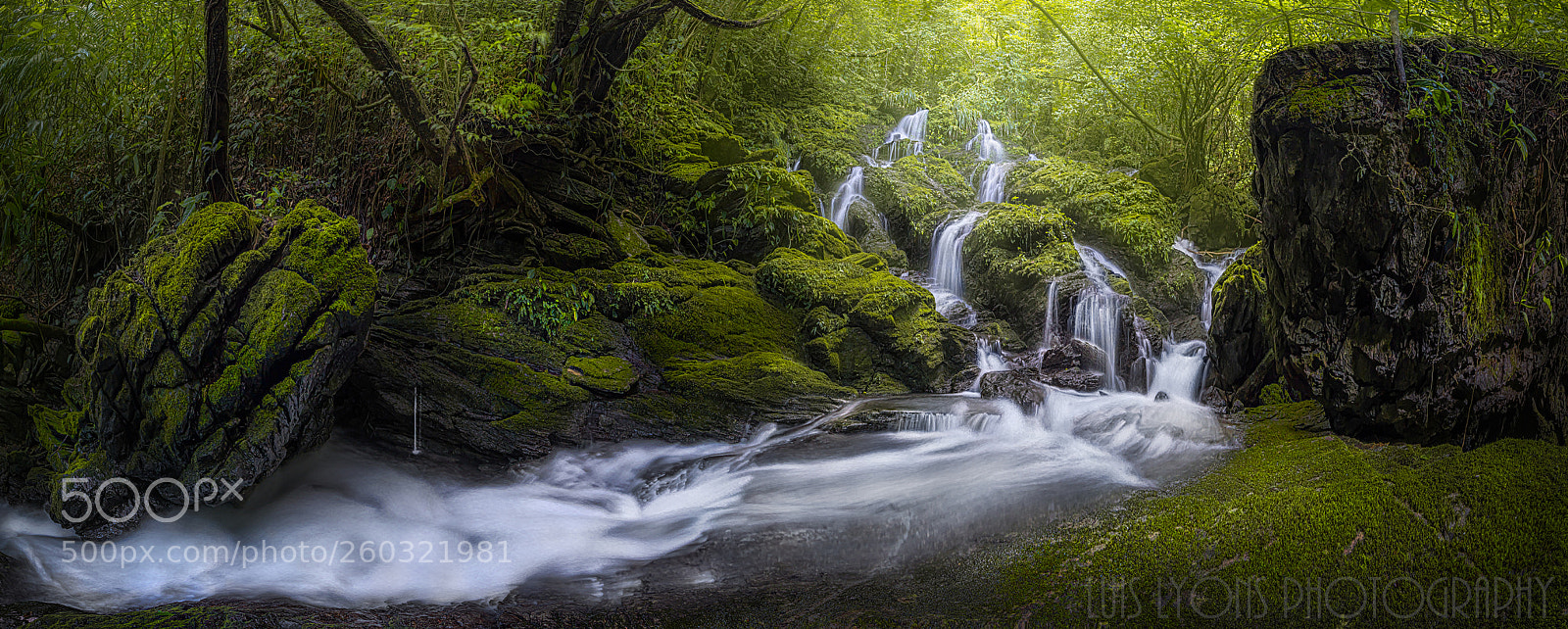 Nikon D5500 sample photo. Rainforest riverflow iii photography