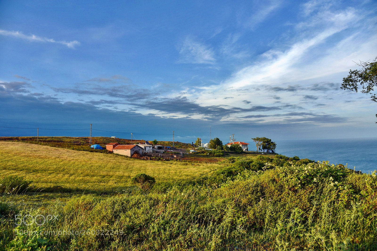 Nikon D750 sample photo. The farm at the photography