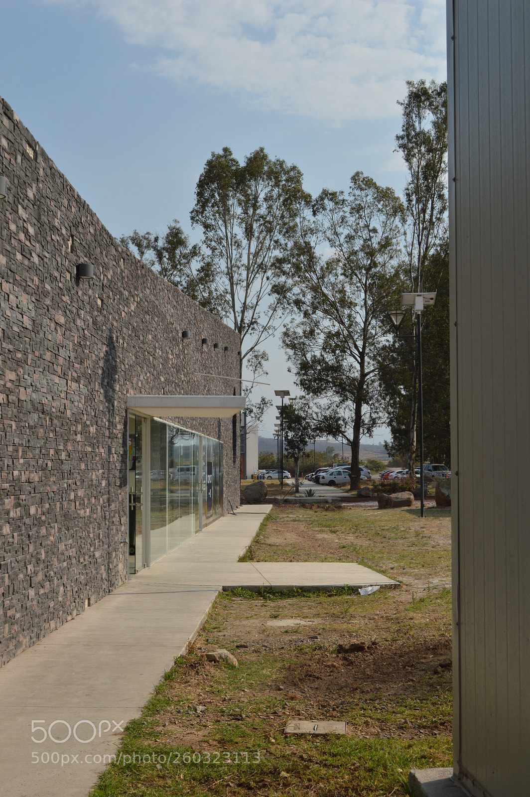 Nikon D3200 sample photo. Me gusta photography