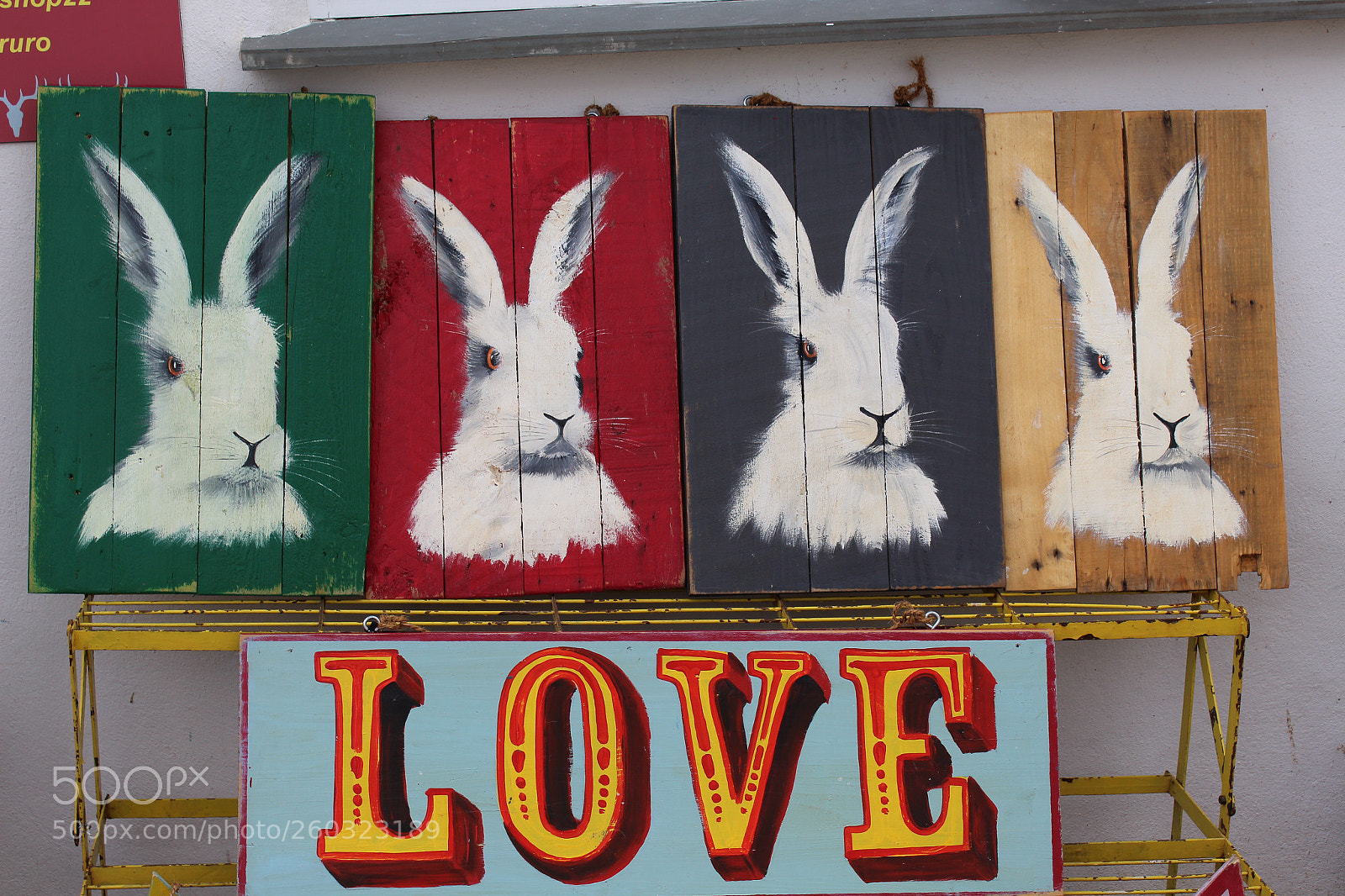 Canon EOS 1300D (EOS Rebel T6 / EOS Kiss X80) sample photo. Love 4 bunnies photography
