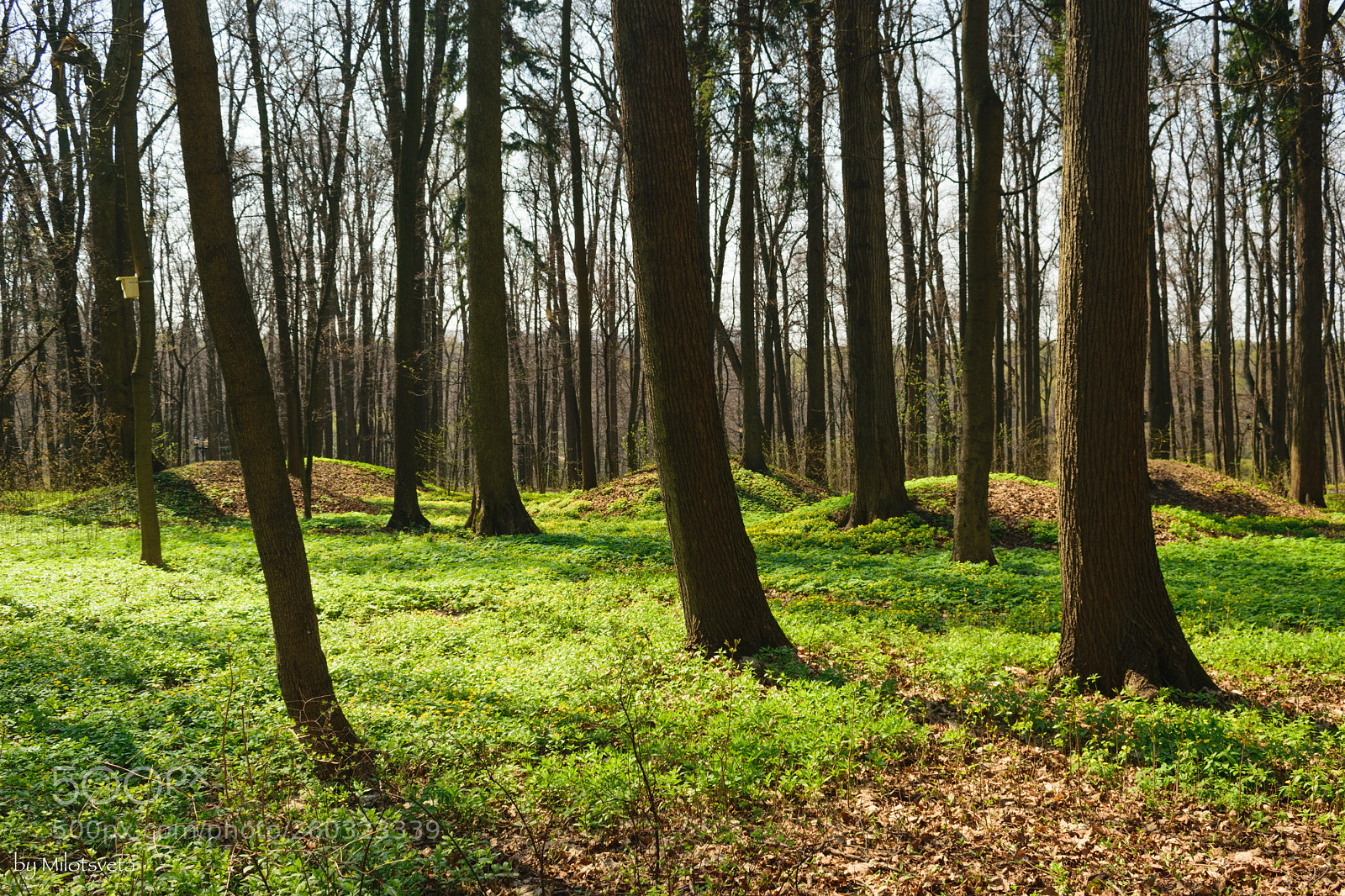 Nikon D3300 sample photo. Mounds photography