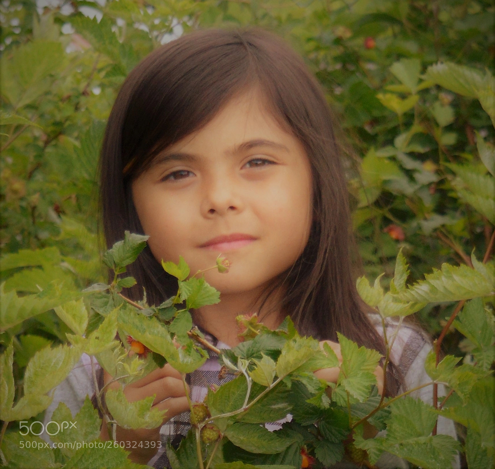 Nikon D3200 sample photo. Enjoying the woods photography