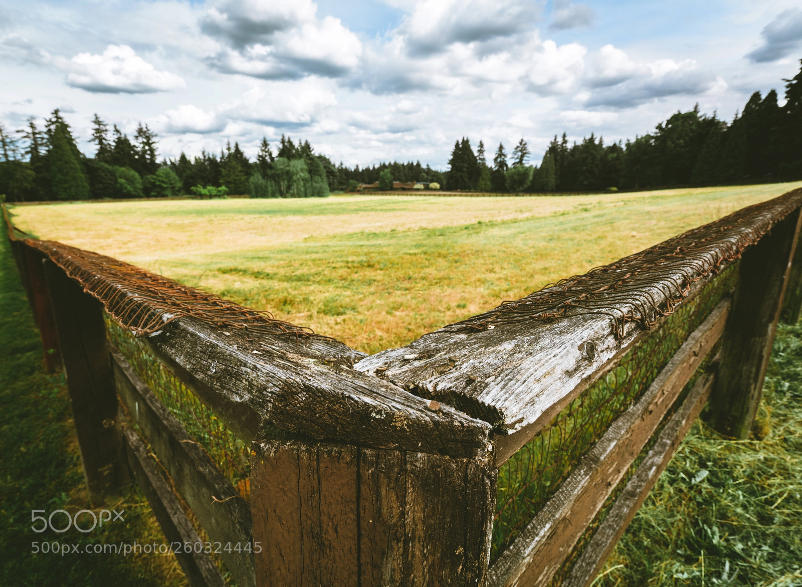 Sony a7R II sample photo. V photography