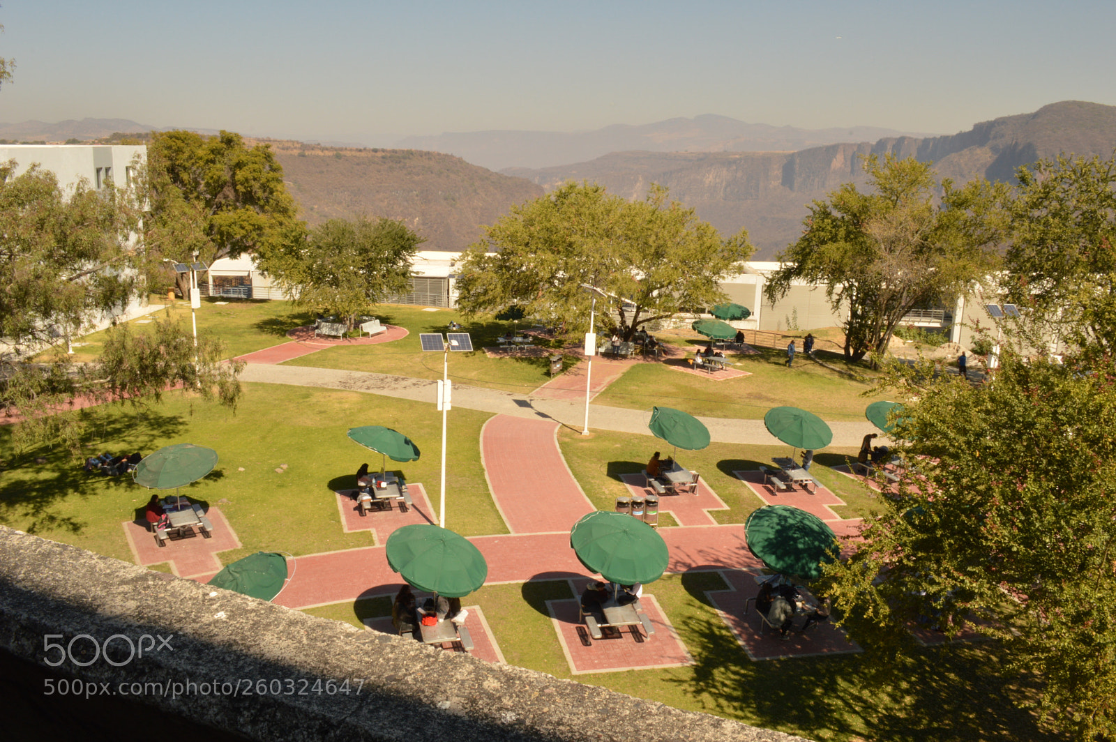Nikon D3200 sample photo. Campus photography