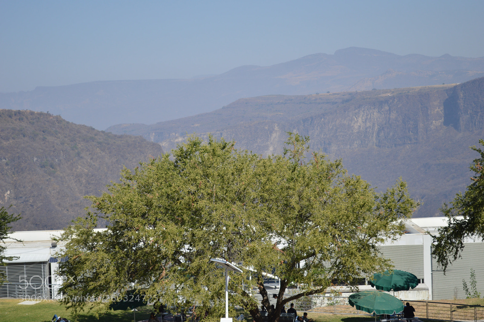 Nikon D3200 sample photo. Arbolito photography