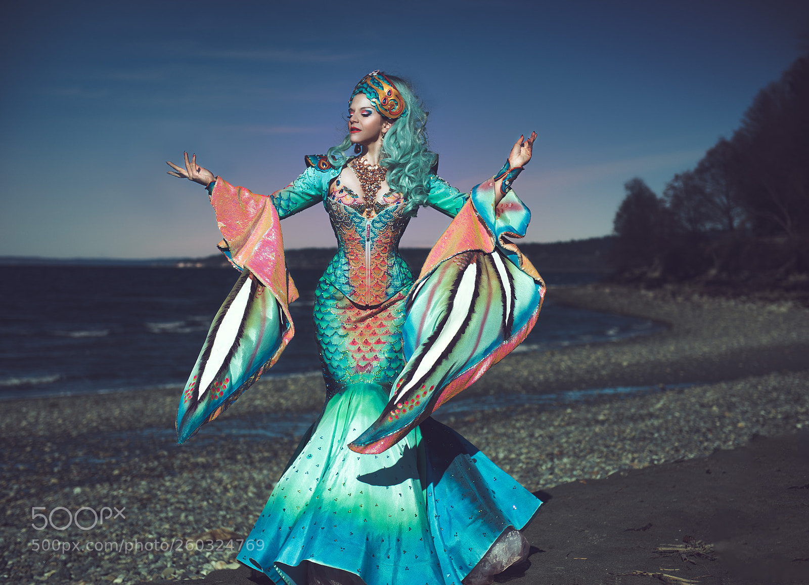 Nikon D810 sample photo. Mermaid queen photography