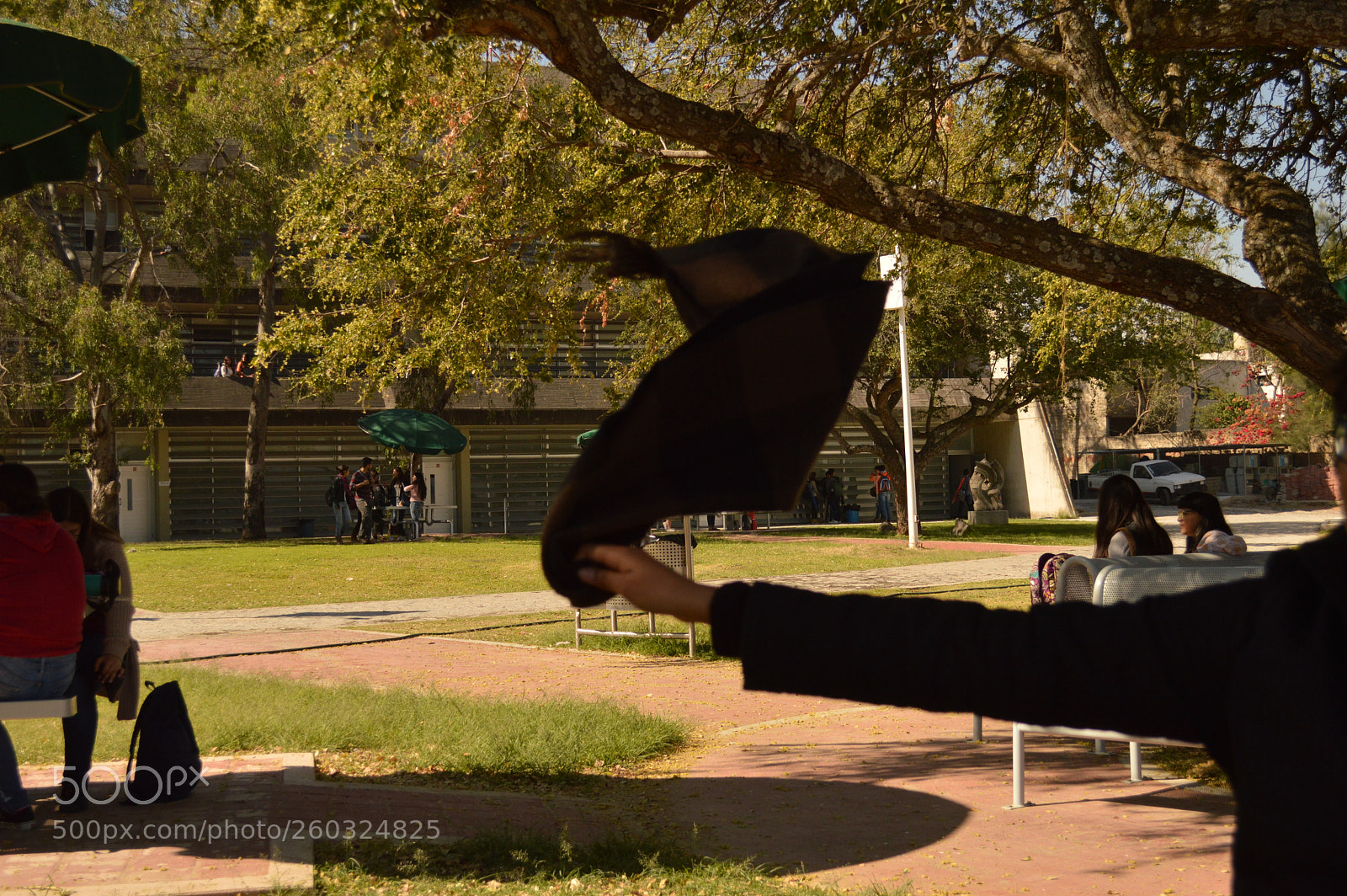 Nikon D3200 sample photo. Bufandis photography