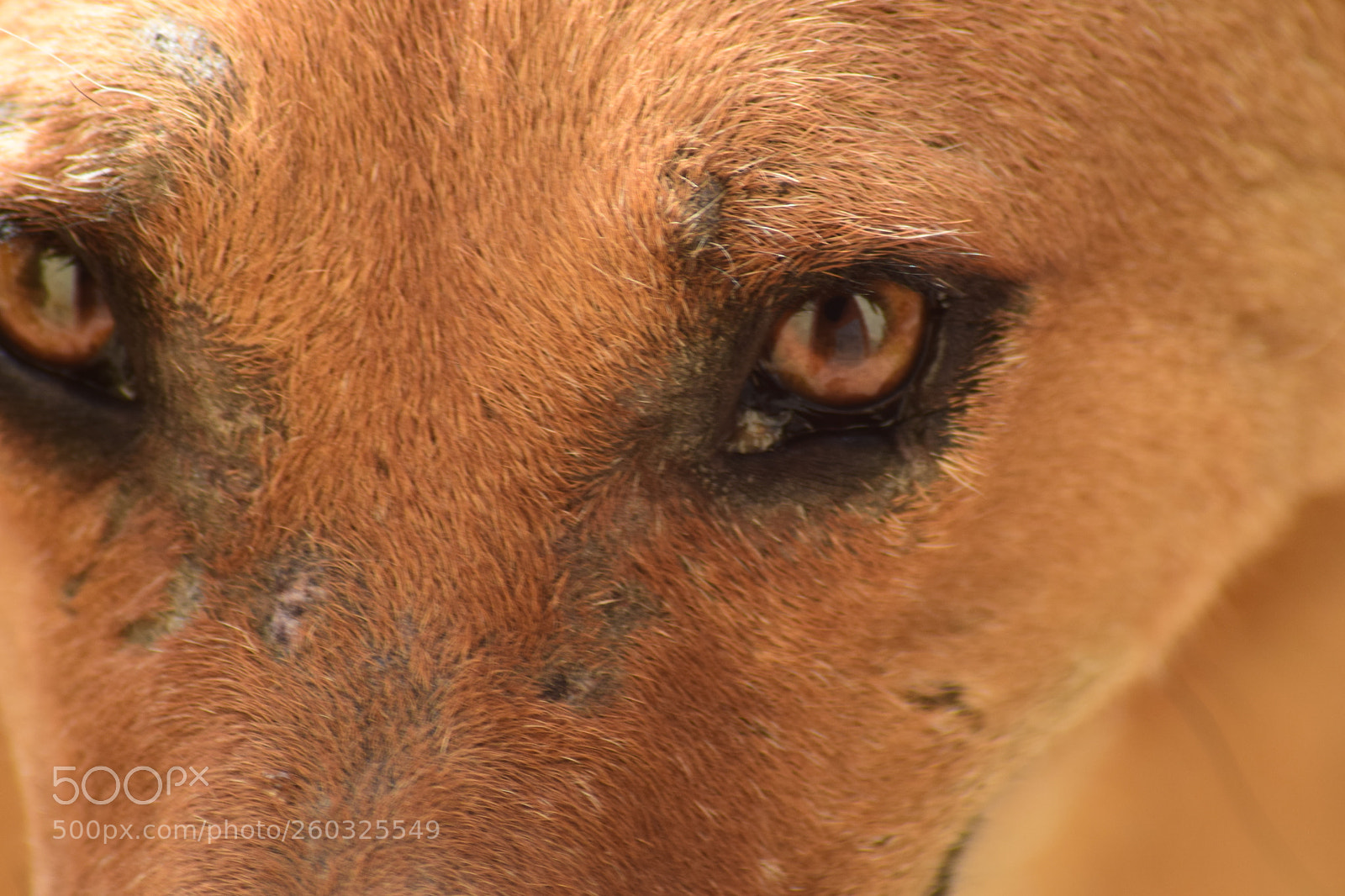 Nikon D5300 sample photo. Untitled photography