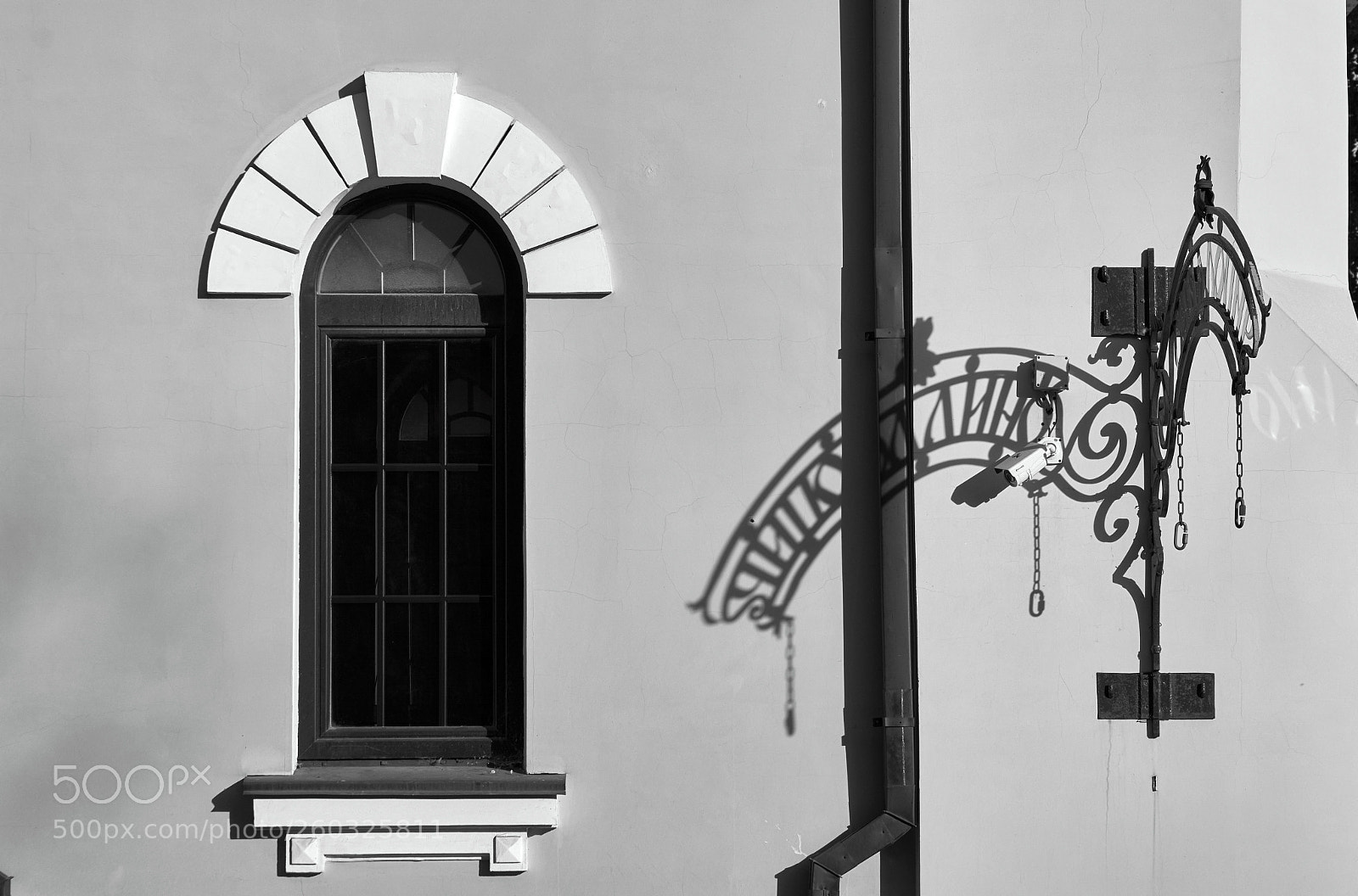 Nikon D7100 sample photo. "cipollino" photography