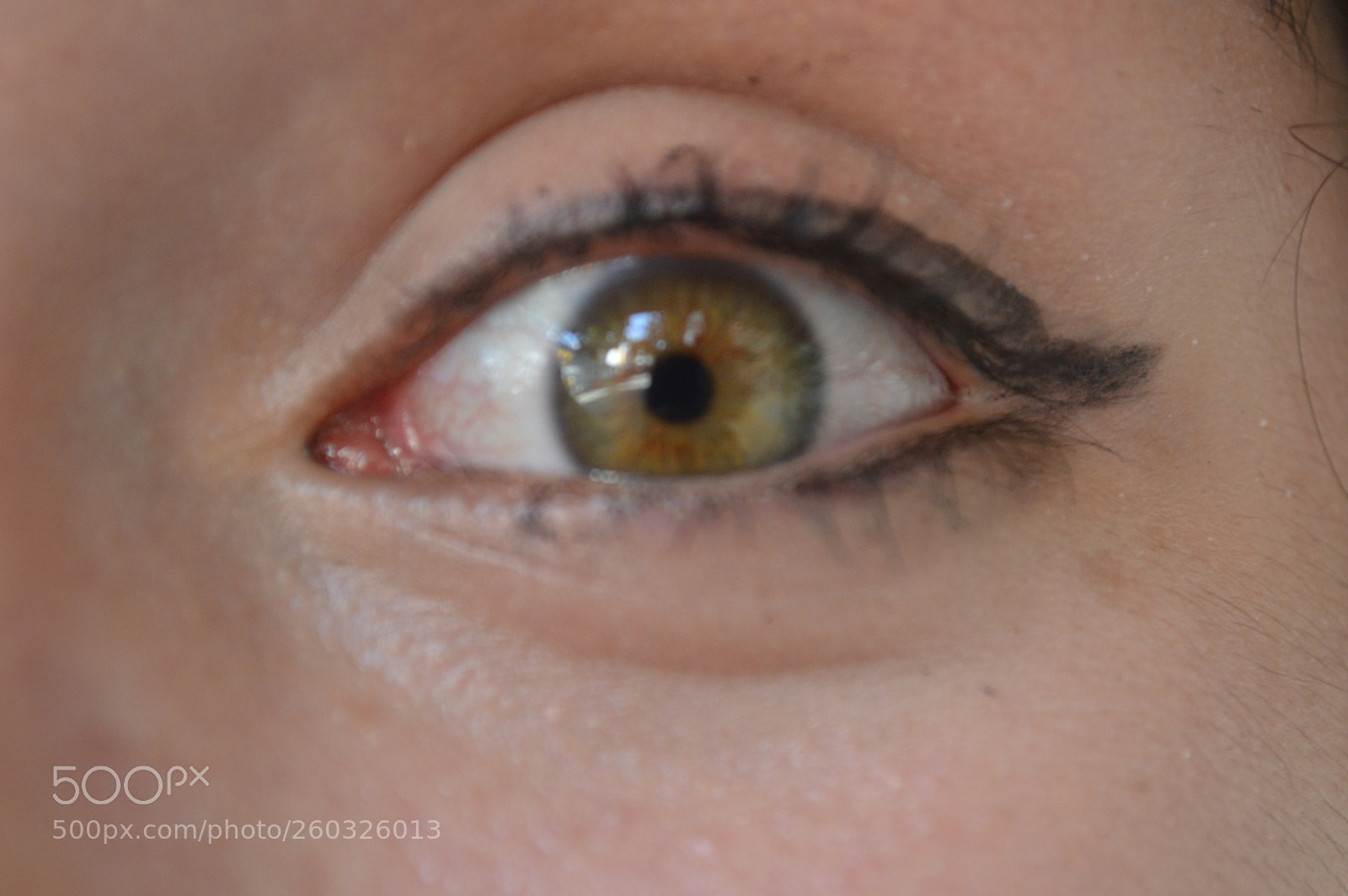 Nikon D3200 sample photo. Con esos lindos ojos photography