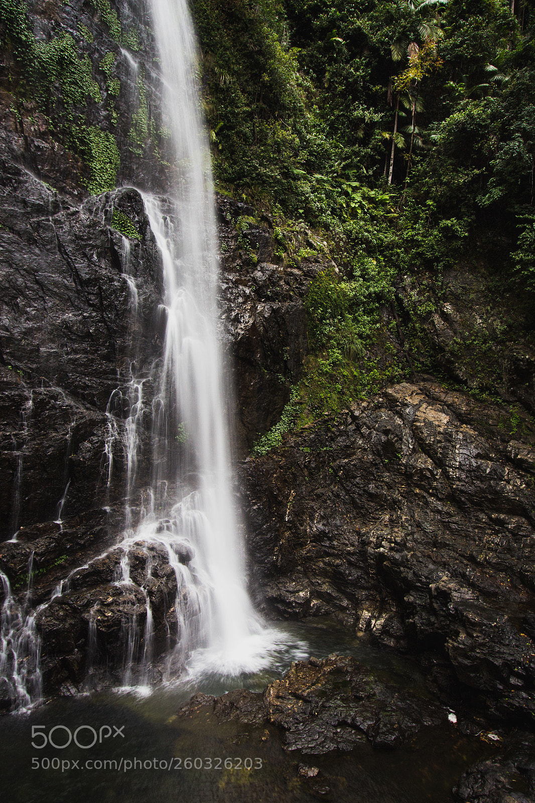 Canon EOS 700D (EOS Rebel T5i / EOS Kiss X7i) sample photo. Red cedar falls follow photography