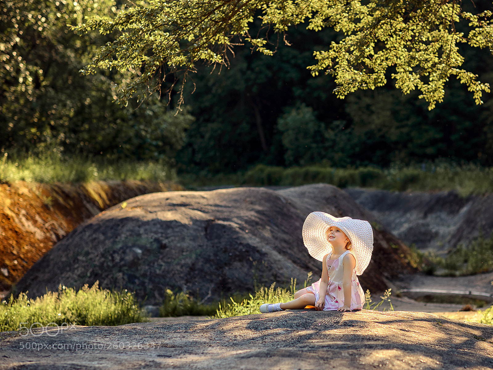 Nikon D800 sample photo. Мечтательница photography