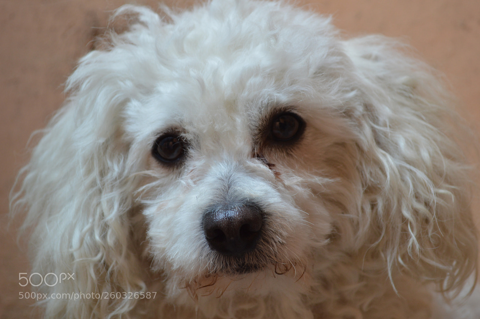 Nikon D3200 sample photo. Dame concretas esa es photography