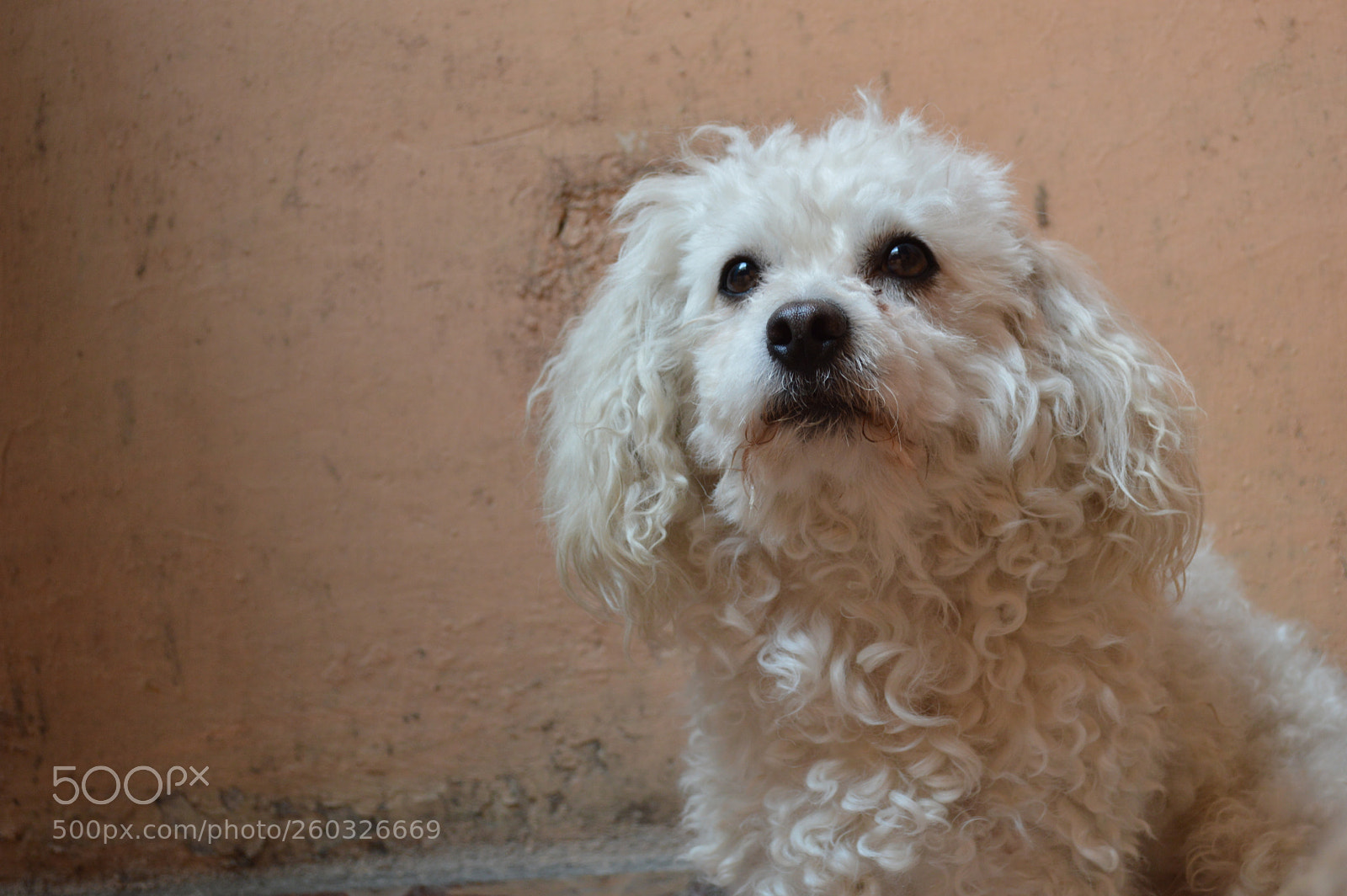 Nikon D3200 sample photo. Hermoso photography