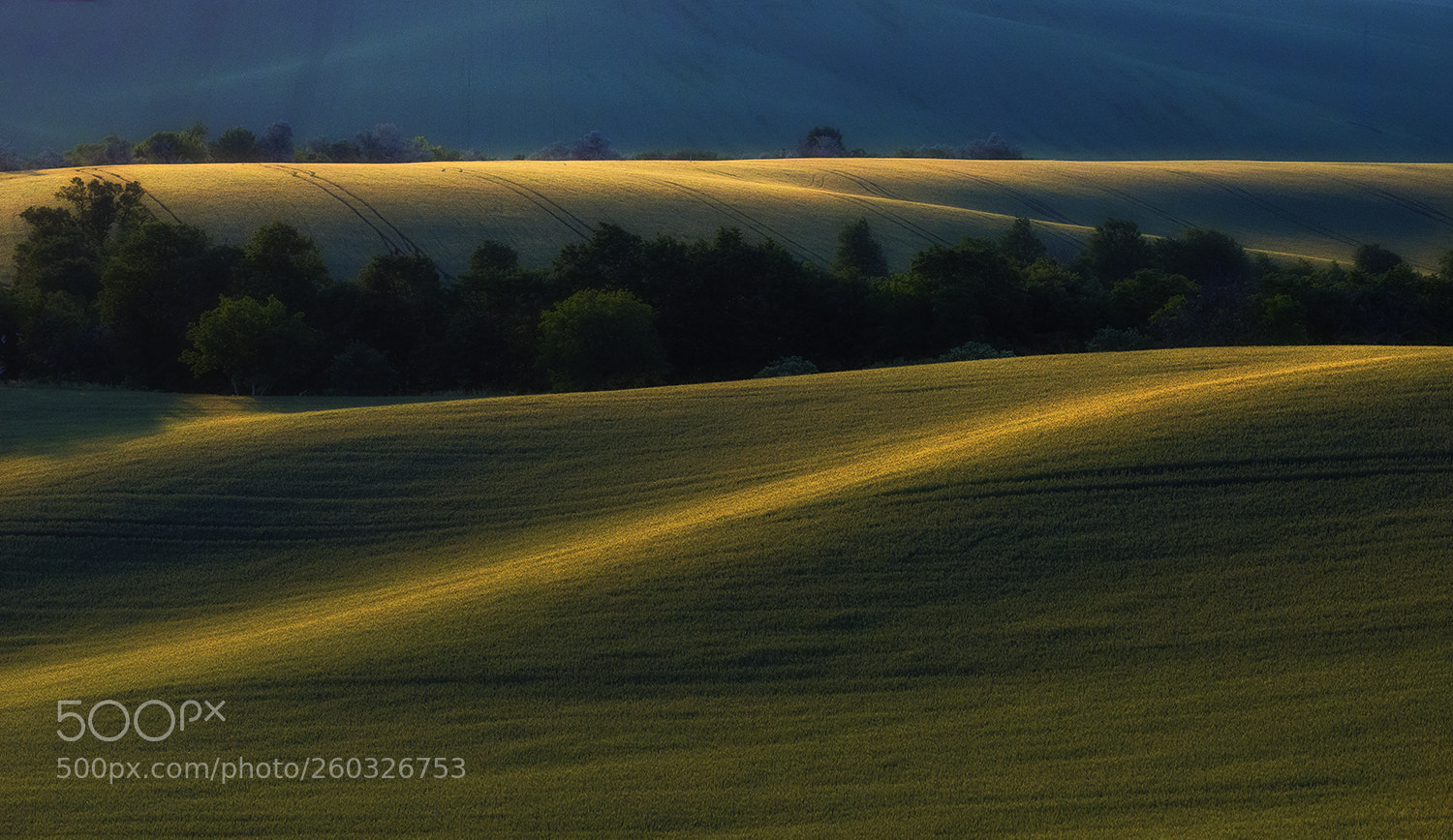 Nikon D610 sample photo. Sunset lights photography