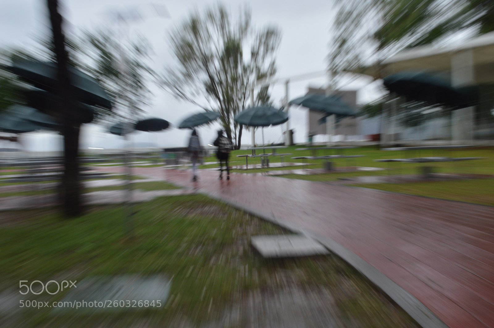 Nikon D3200 sample photo. Dia lluvioso photography