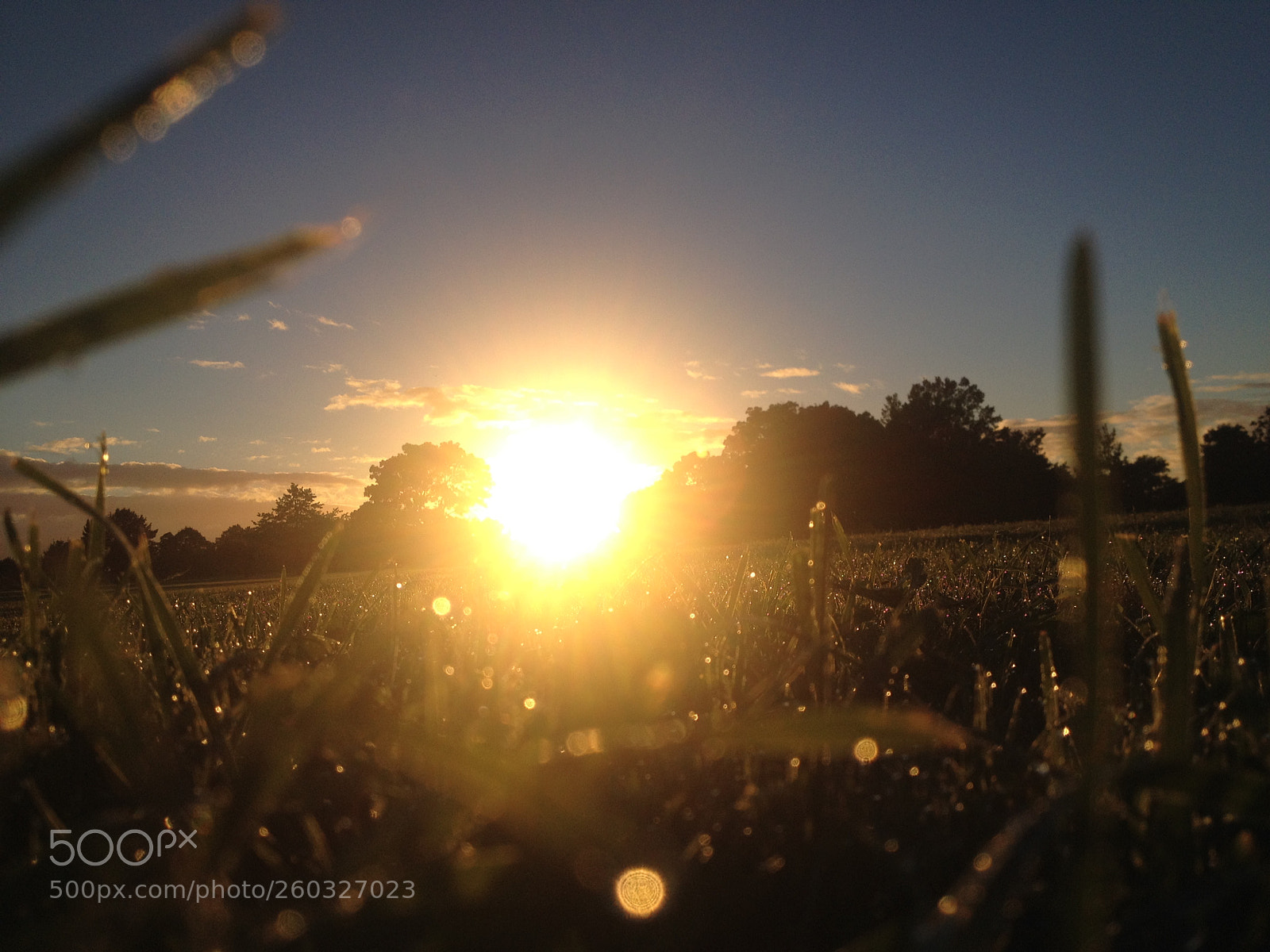 Apple iPhone 4S sample photo. Flicker of light photography