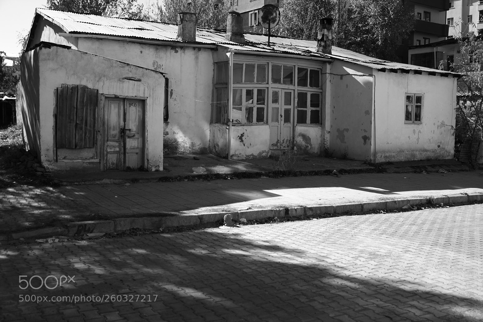 Canon EOS 550D (EOS Rebel T2i / EOS Kiss X4) sample photo. Cataldere ardahan photography