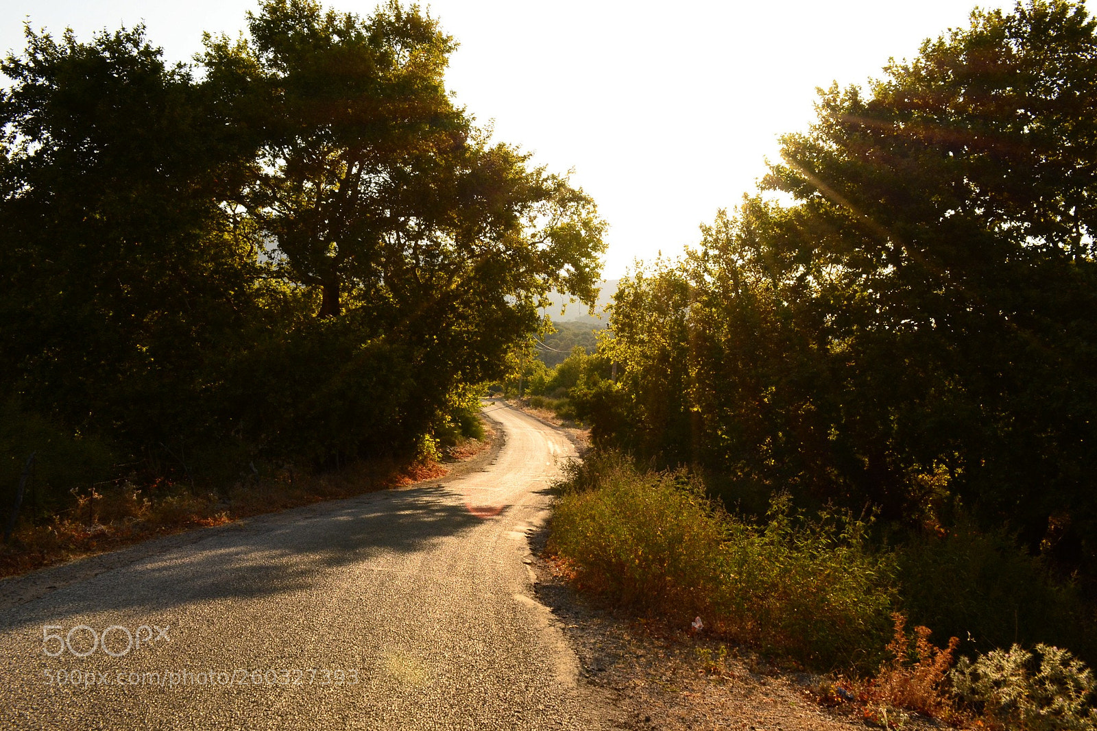 Nikon D3100 sample photo. Roadtofreedom photography