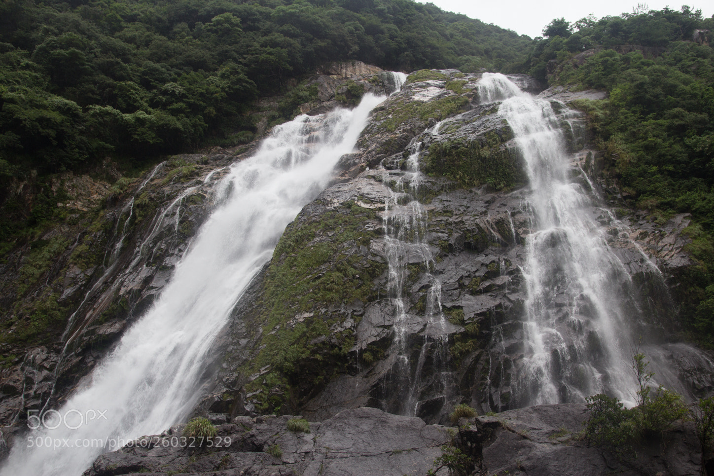 Canon EOS 60D sample photo. Img photography