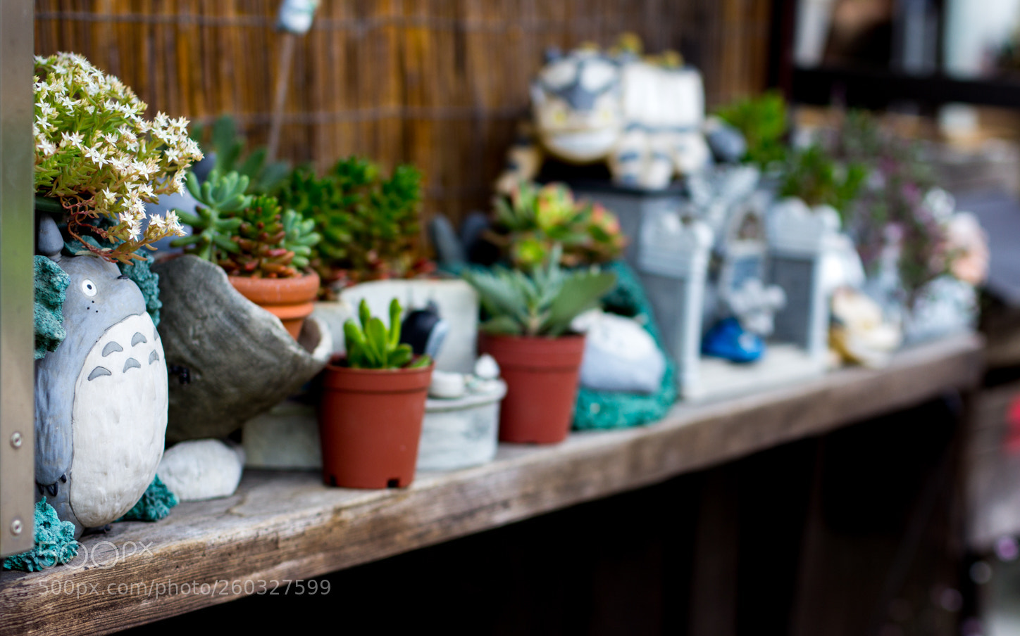 Canon EOS 60D sample photo. Img photography