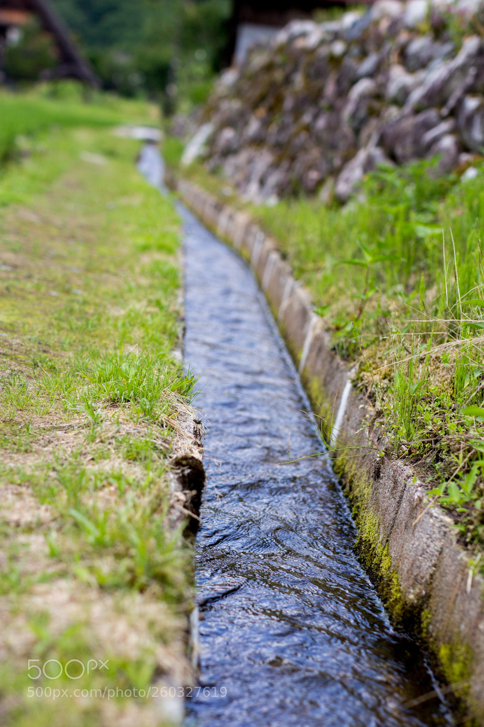 Canon EOS 60D sample photo. Img photography