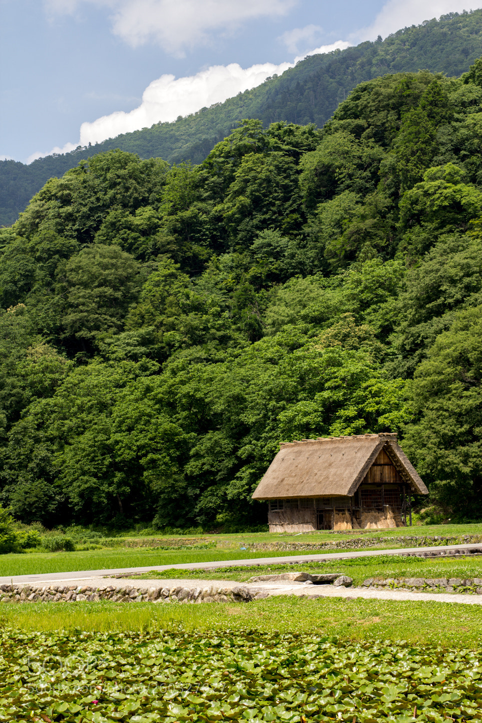 Canon EOS 60D sample photo. Img photography