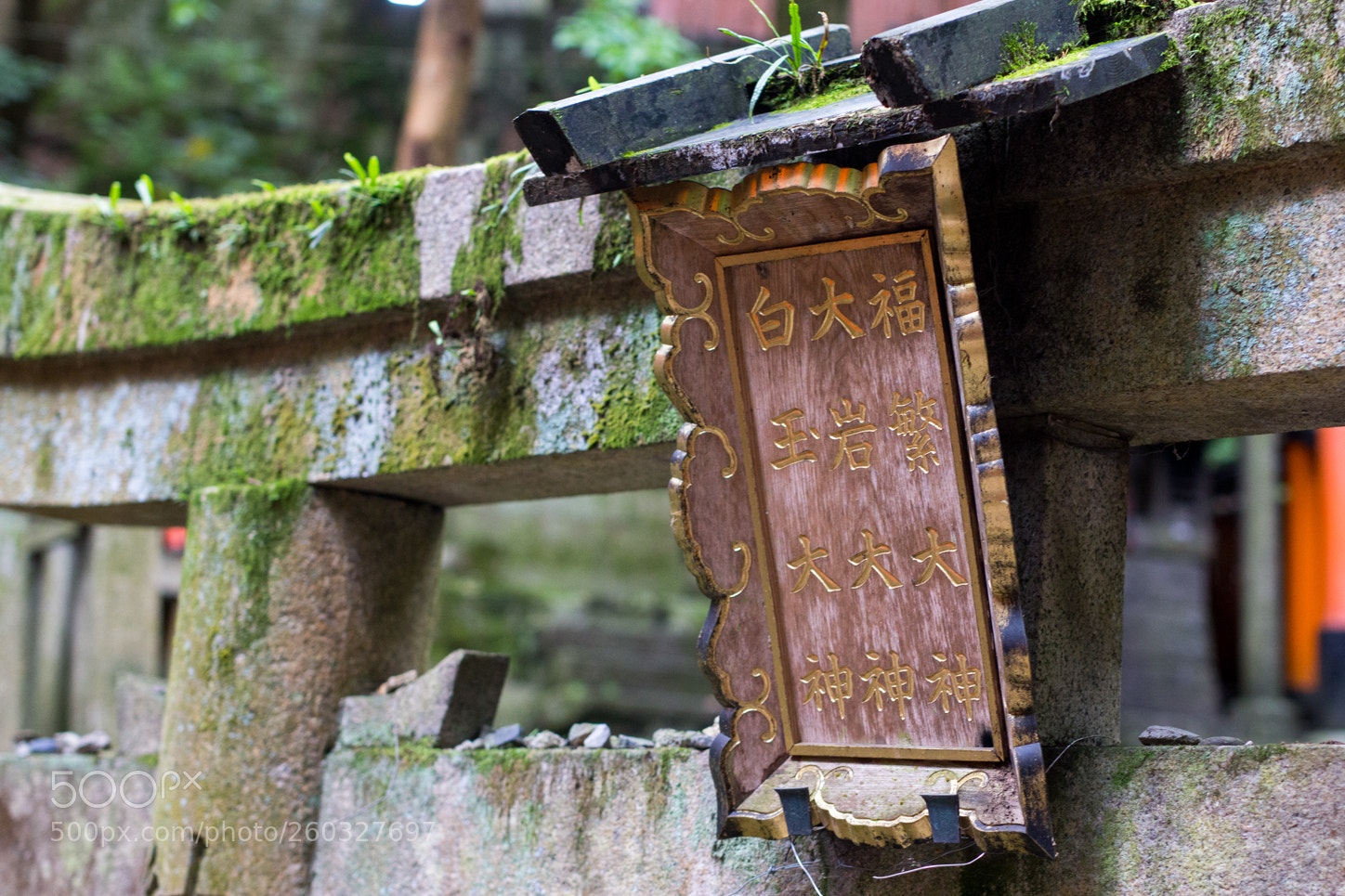 Canon EOS 60D sample photo. Img photography
