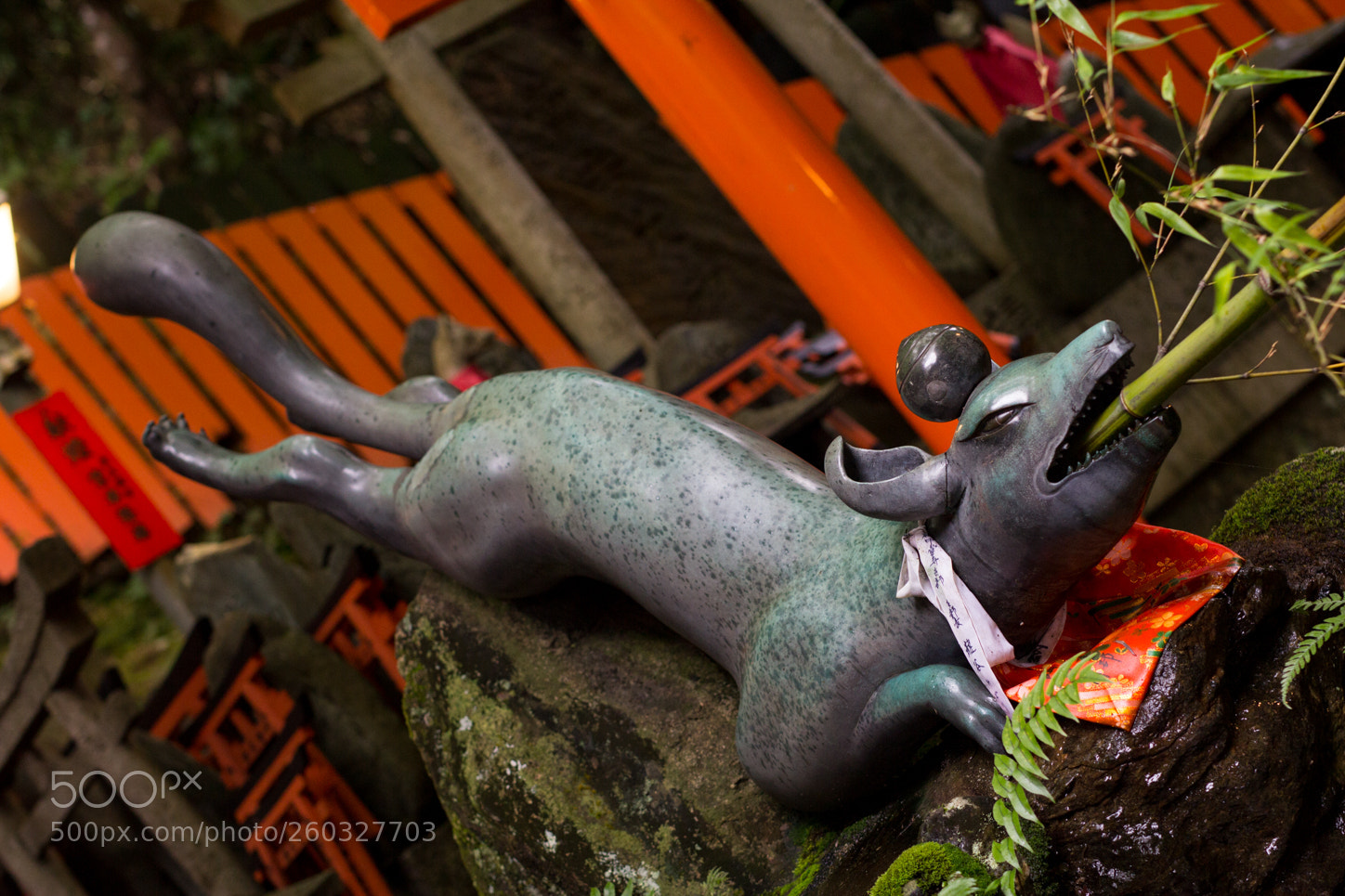 Canon EOS 60D sample photo. Img photography