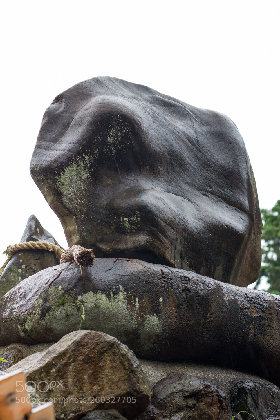 Canon EOS 60D sample photo. Img photography